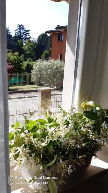 Il Blu Di Laveno Leilighet Eksteriør bilde